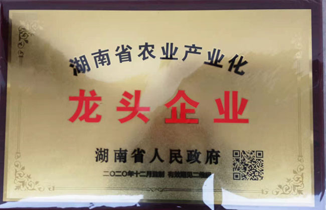 湖南九豐農(nóng)業(yè)發(fā)展有限公司被認(rèn)定湖南省農(nóng)業(yè)產(chǎn)業(yè)化龍頭企業(yè)