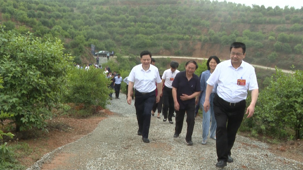 嶽陽市政協(xié)主席會(huì)議成員一行視察九豐農(nóng)業(yè)油茶基地